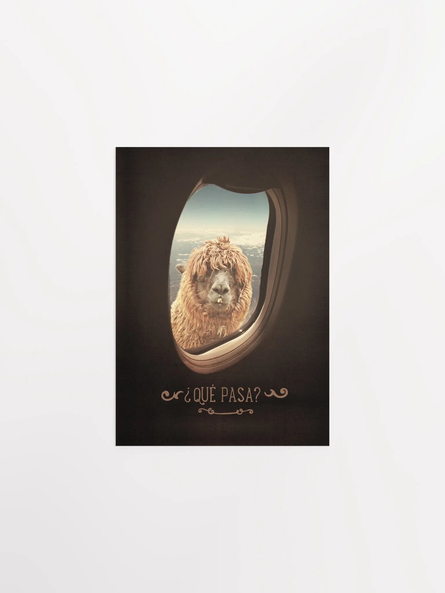 Llama's Perspective Poster "¿Que Pasa?" product image (6)