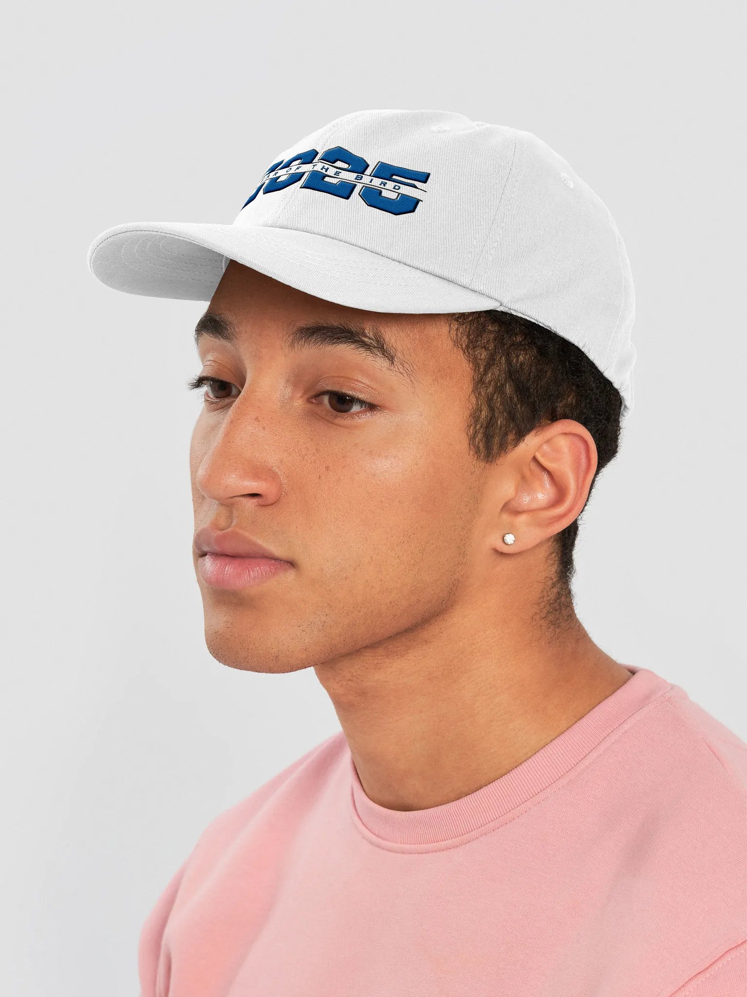 Blue "Year of the Bird" Cap product image (5)
