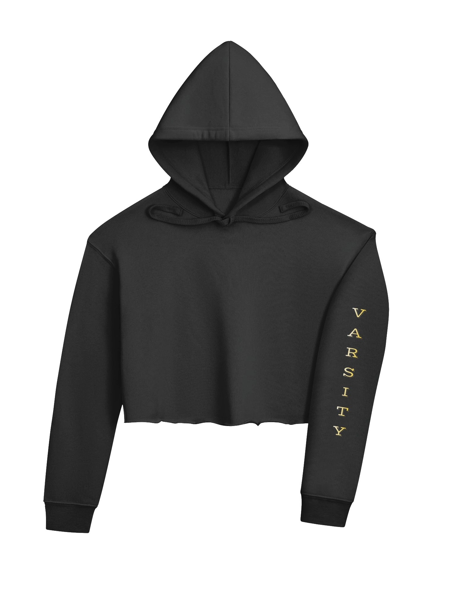 Saguaro Sabercats Wrestling Crop Hoodie product image (4)