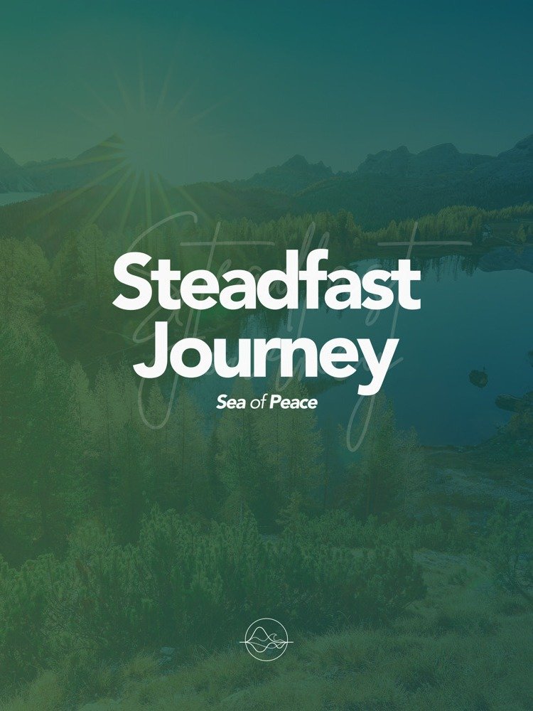 Steadfast Journey - EP - 2026 product image (1)