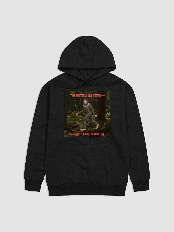 The Truth is out There! product image (8)