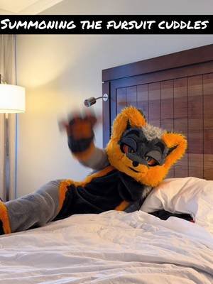Cuddles now #furry #furrystreamer #fursuit #furrycommunity #megaplex2026 