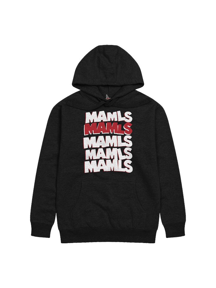 the Hoodie - Black product image (1)