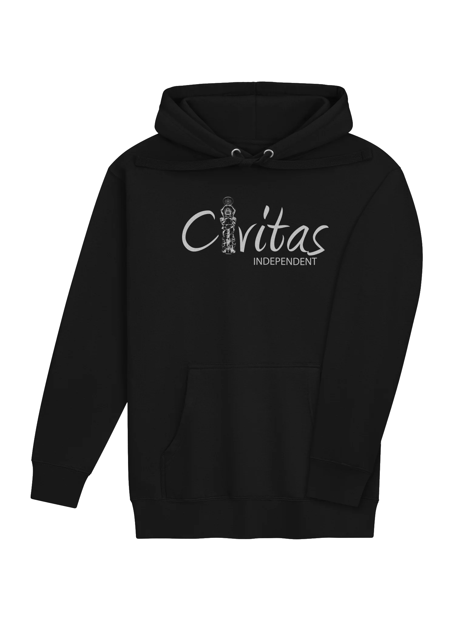 Logo Hoodie (White Logo) product image (4)
