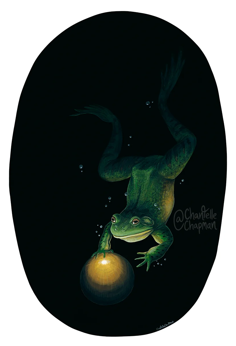 Frog Prince - Art Print product image (1)