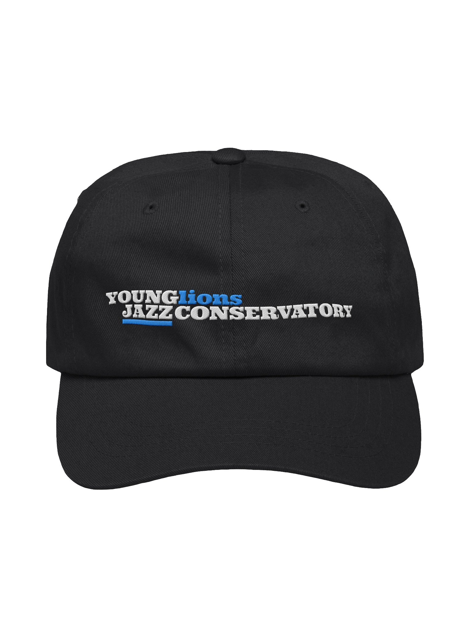 YLJC Embroidered Hat product image (1)