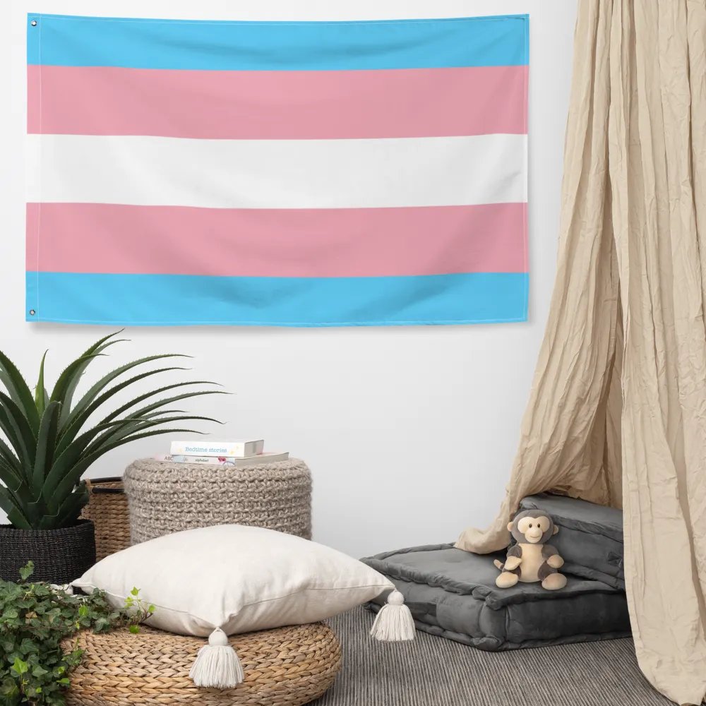Transgender Flag product image (5)