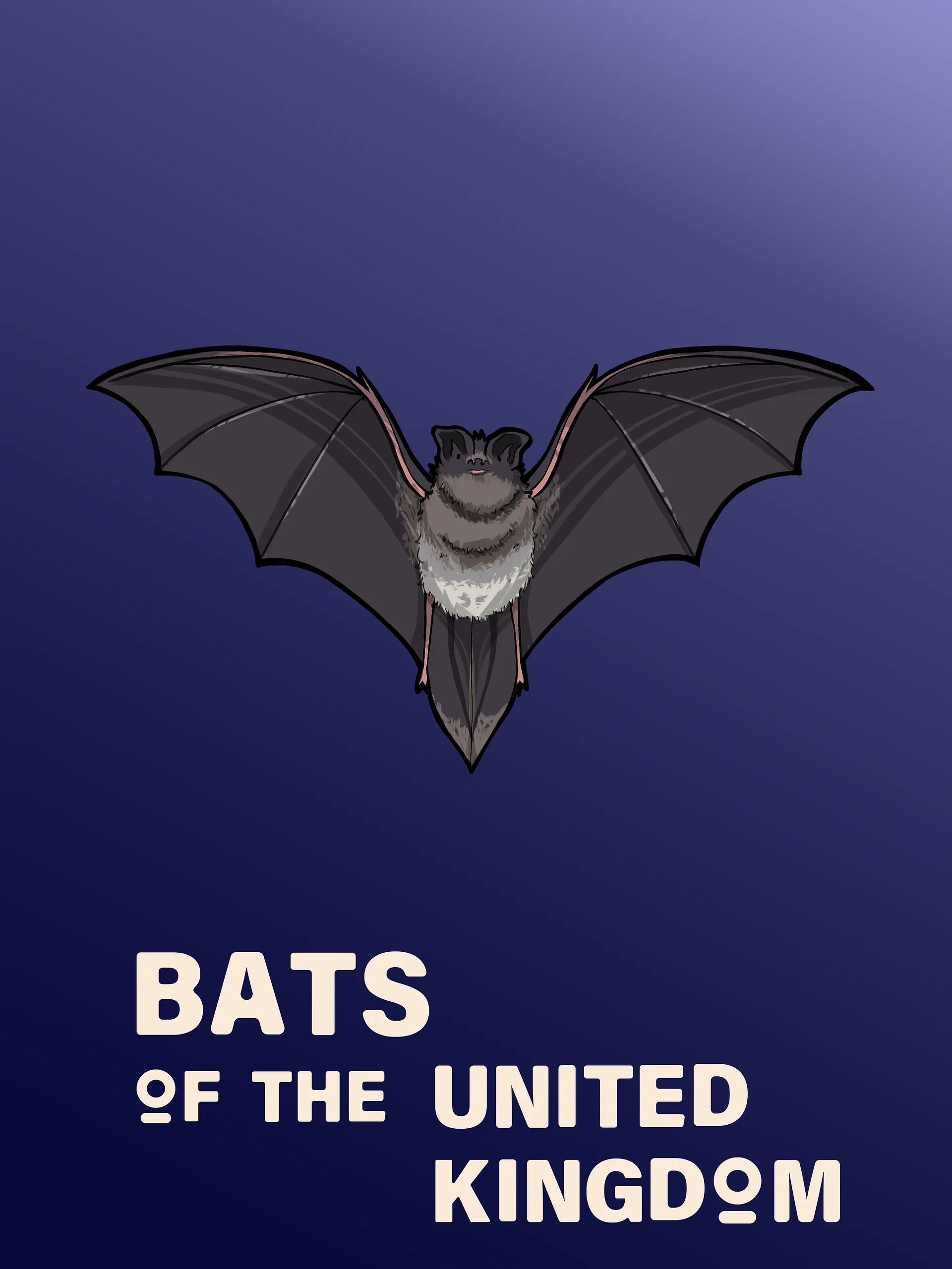 Bats of the United Kingdom - Icon Pack product image (5)