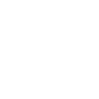 squirrelturds