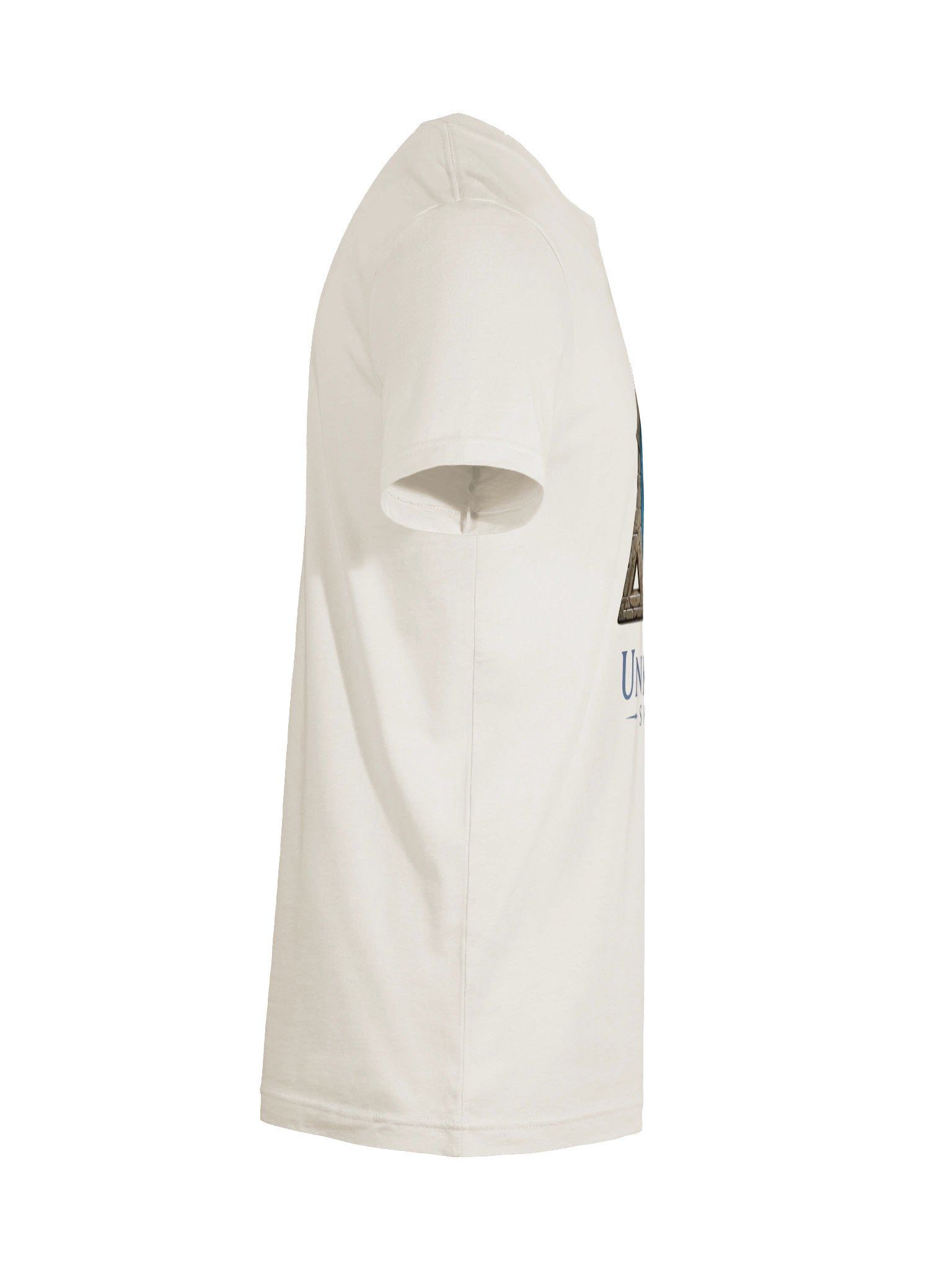 Unknown Shores Logo Tee product image (10)