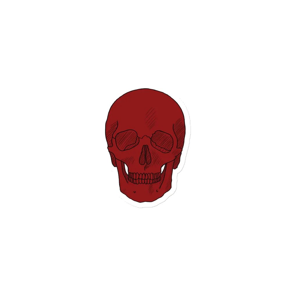 Skull magnet product image (1)