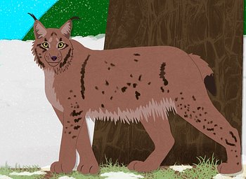 Lynx