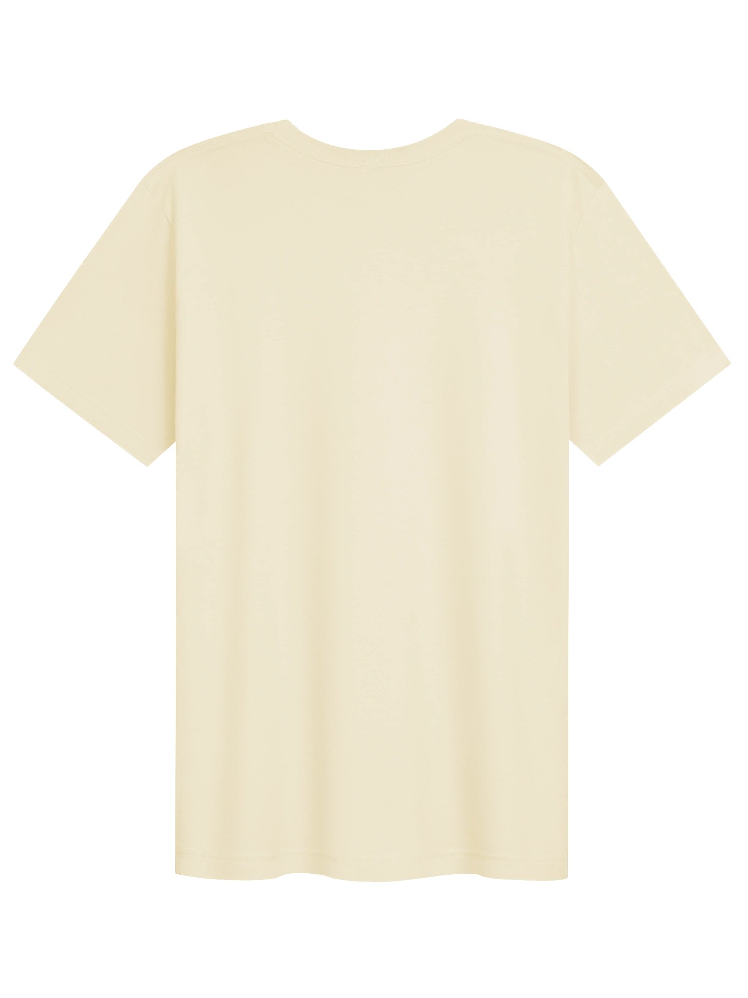 Nice and Normal Party 2026 Supersoft Premium T-Shirt product image (74)