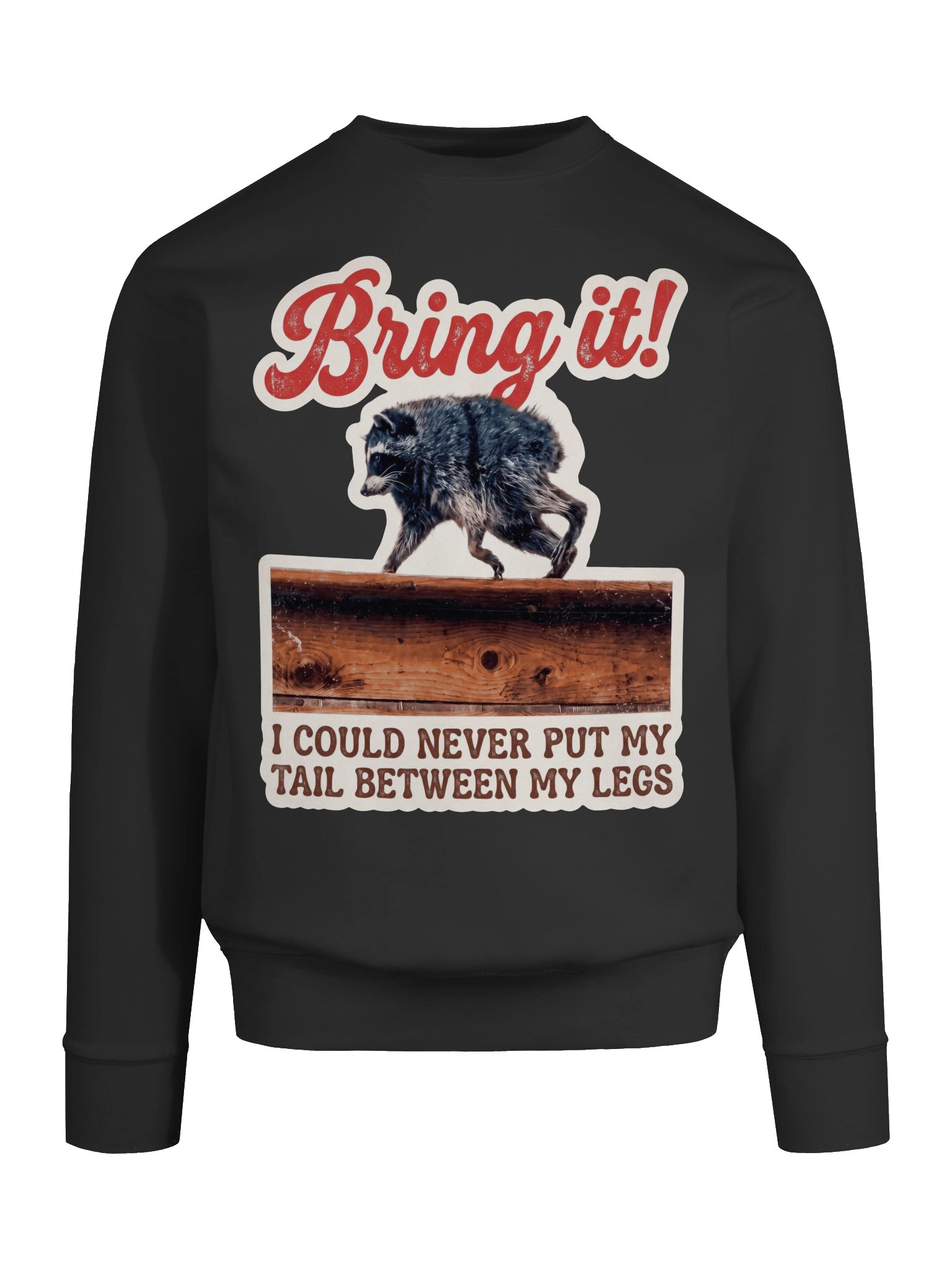 Bring it! Sweatshirt product image (5)