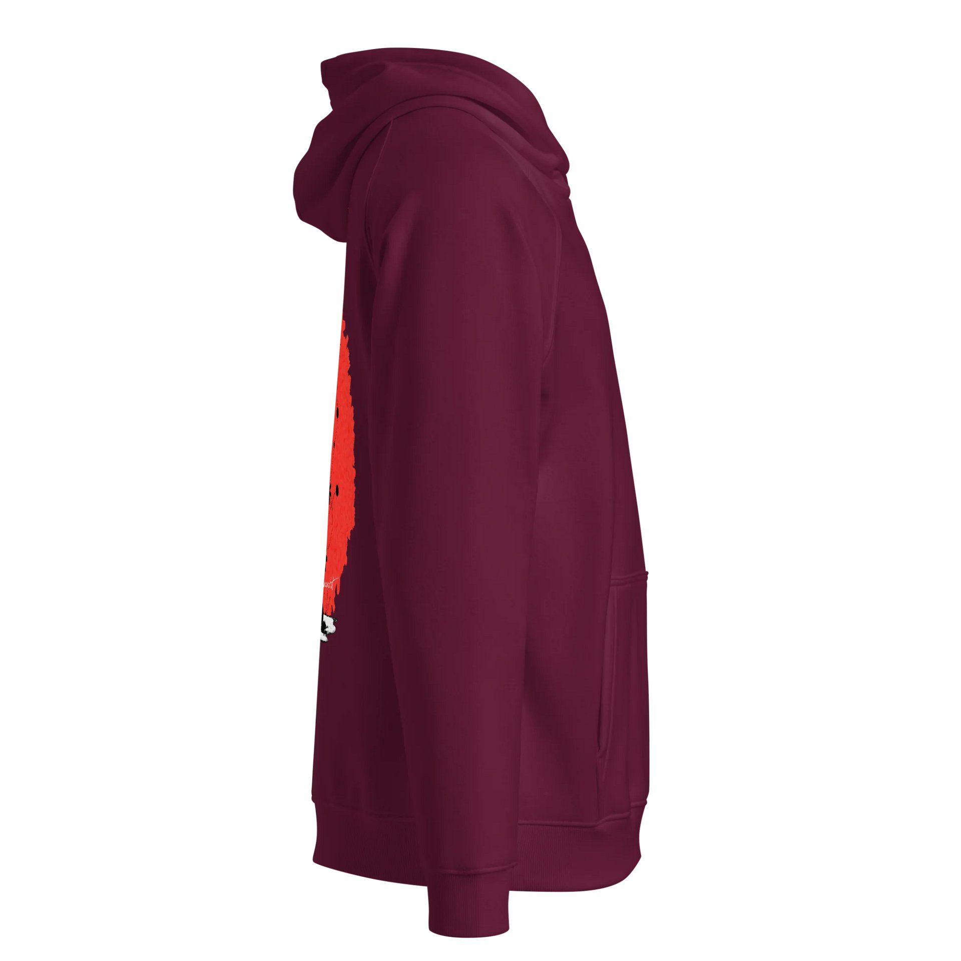SOL'S Unisex Eco Raglan Hoodie product image (4)