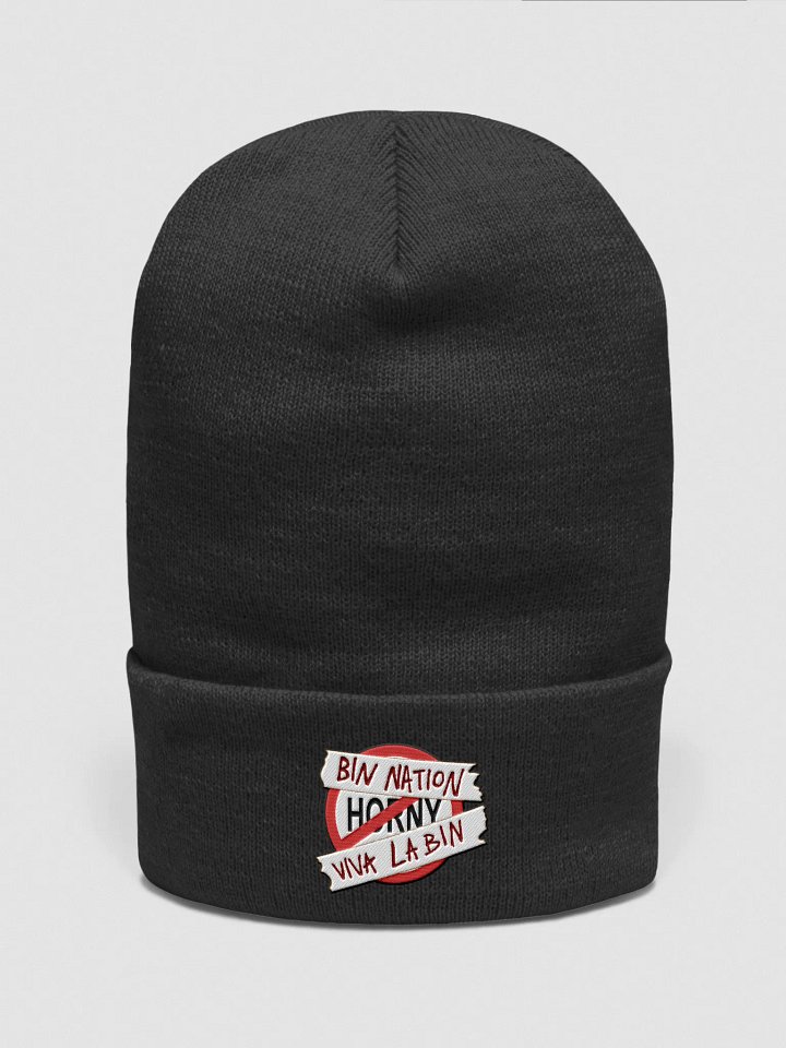 bin nation logo beanie product image (1)