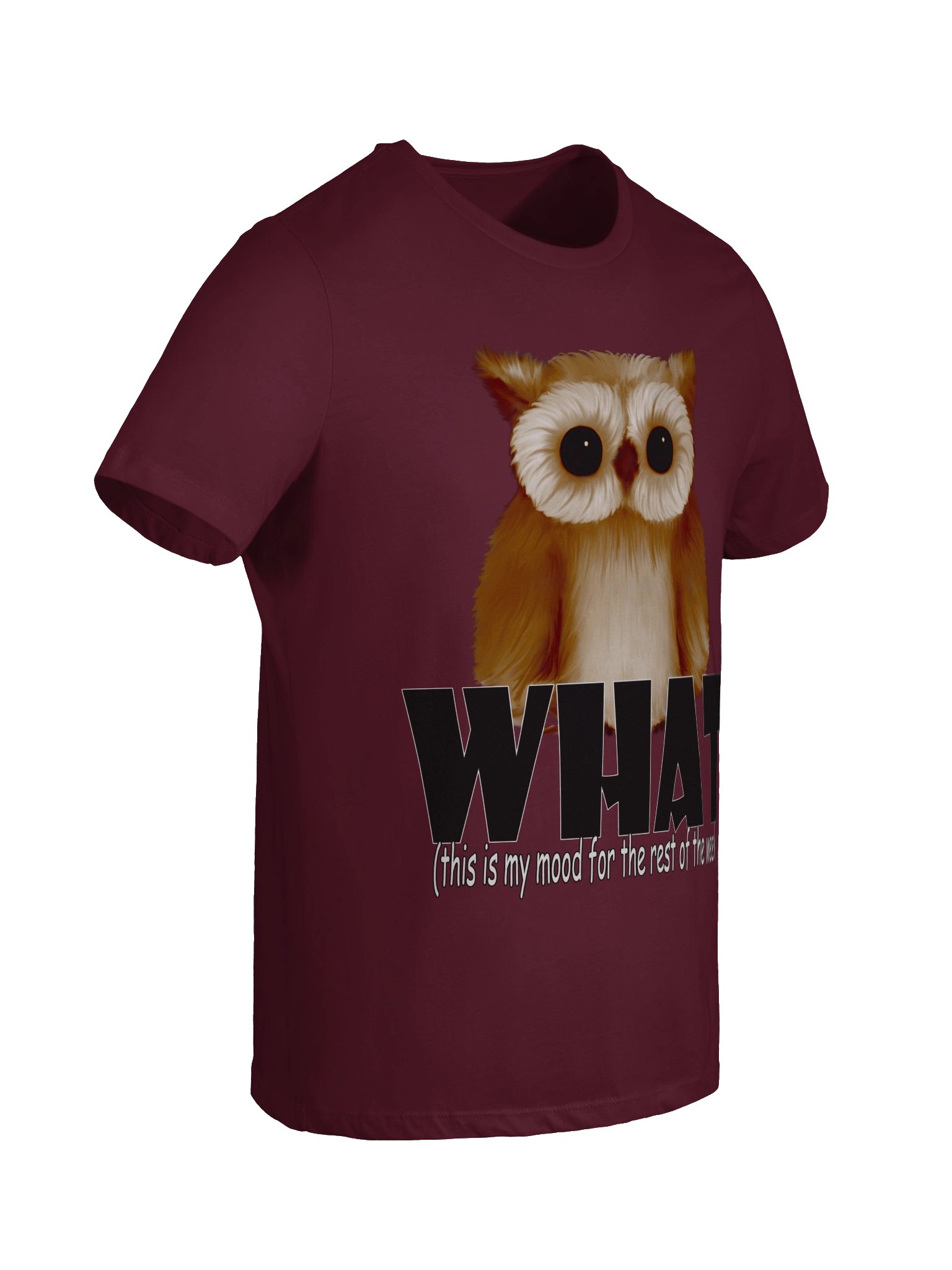 Owl "WHAT" T-Shirt. Women's Bella+Canvas Supersoft Relaxed-fit T-Shirt product image (5)