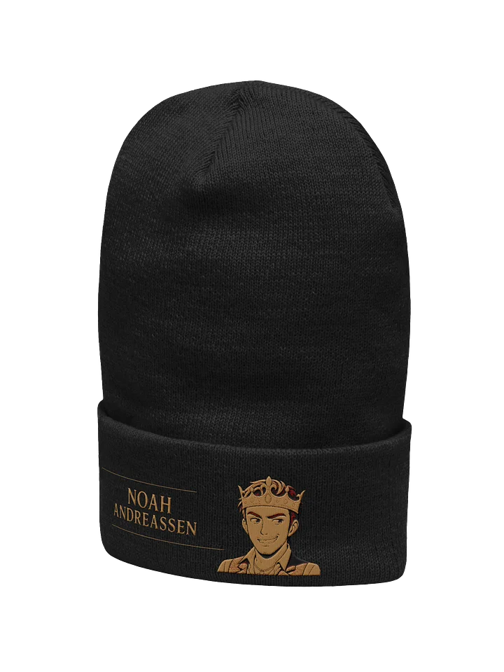 Beanie product image (2)