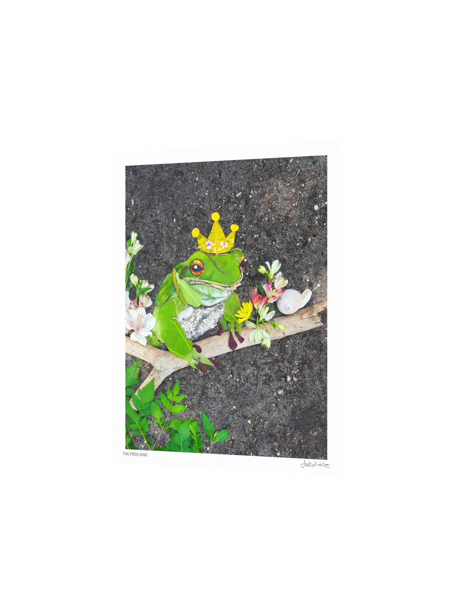 THE FROG KING | Nature Art Print product image (3)
