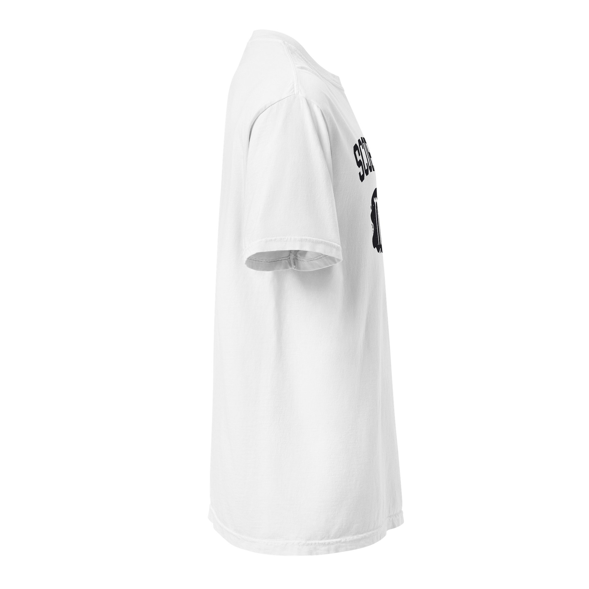 Scorpio Zodiac T-Shirt — Spiritual Soul Psyche Collection product image (39)