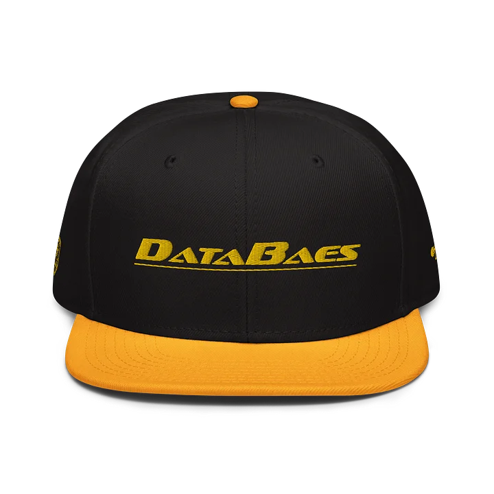 DataBaes Galaxy Police Snapback product image (1)