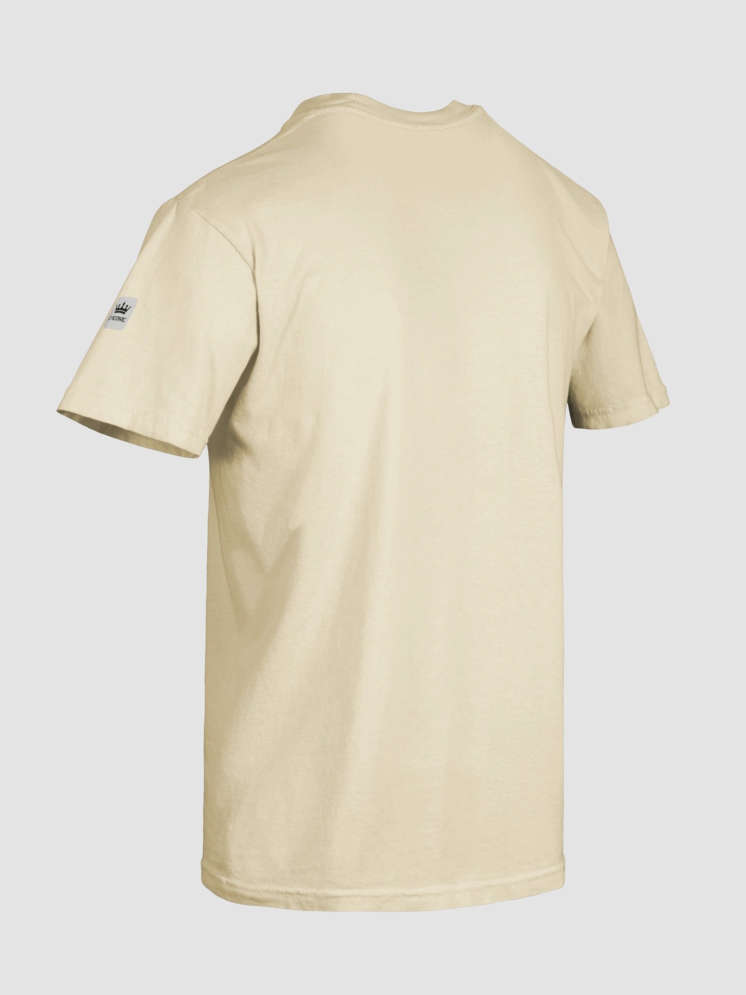 It’s Not Manipulation If You Believe Me Graphic T-Shirt product image (10)