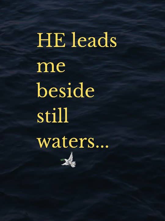 SACRED STILLNESS BUNDLE product image (1)