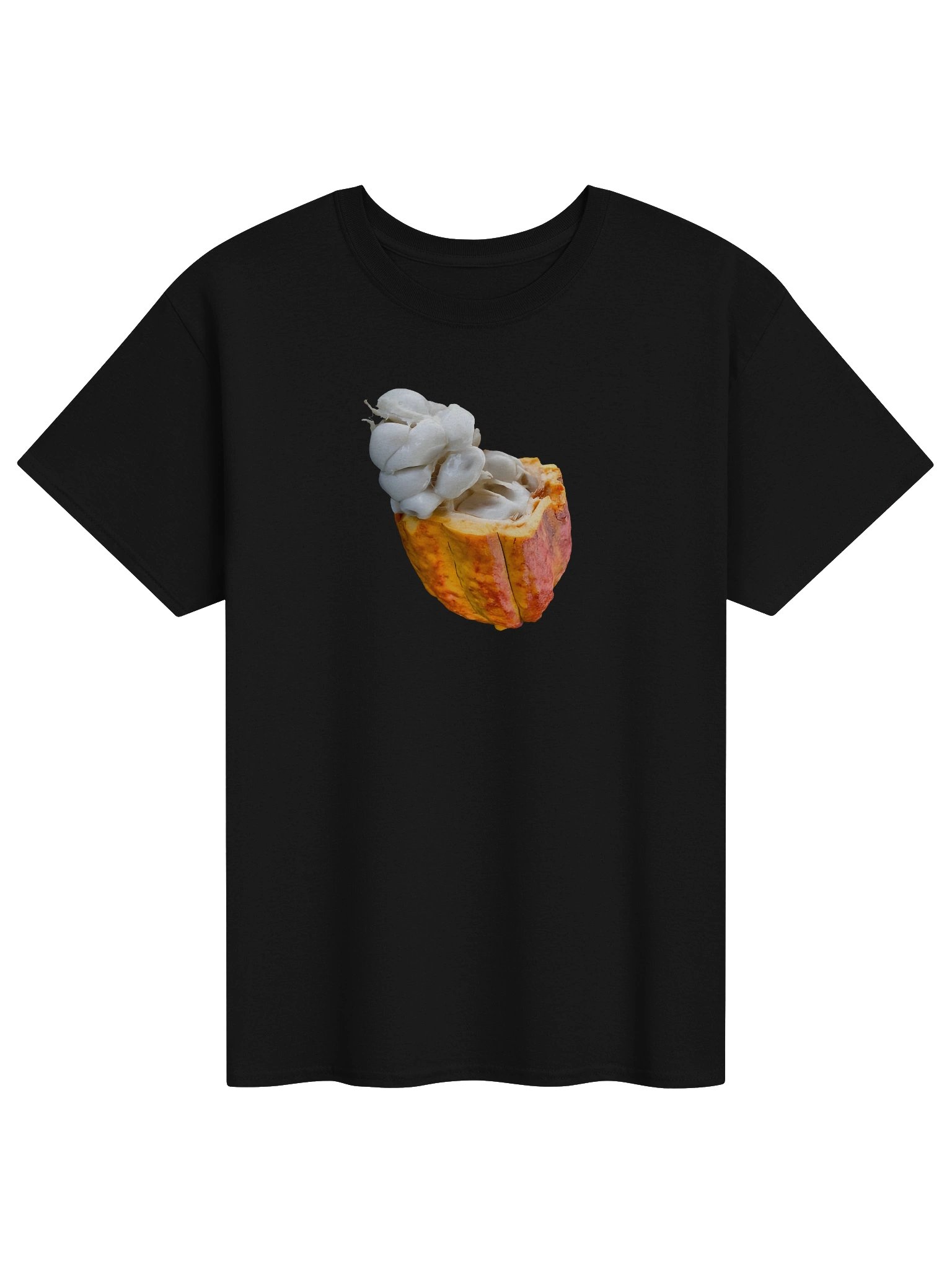 Caribbean Apples - CoCao West Indies Minimal | Unisex Heavyweight T-Shirt | 12 Colors product image (1)