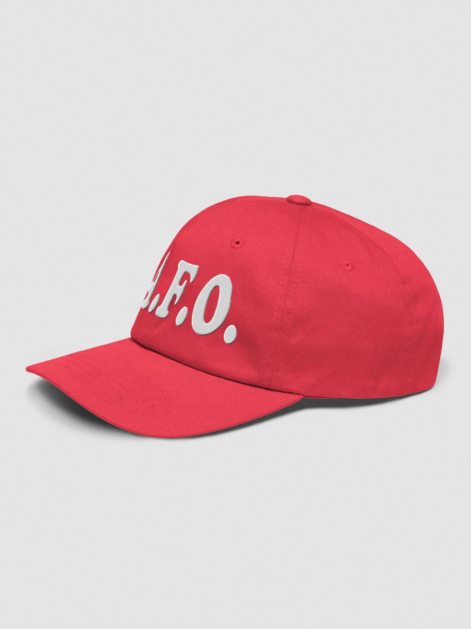 FAFO Hat product image (3)