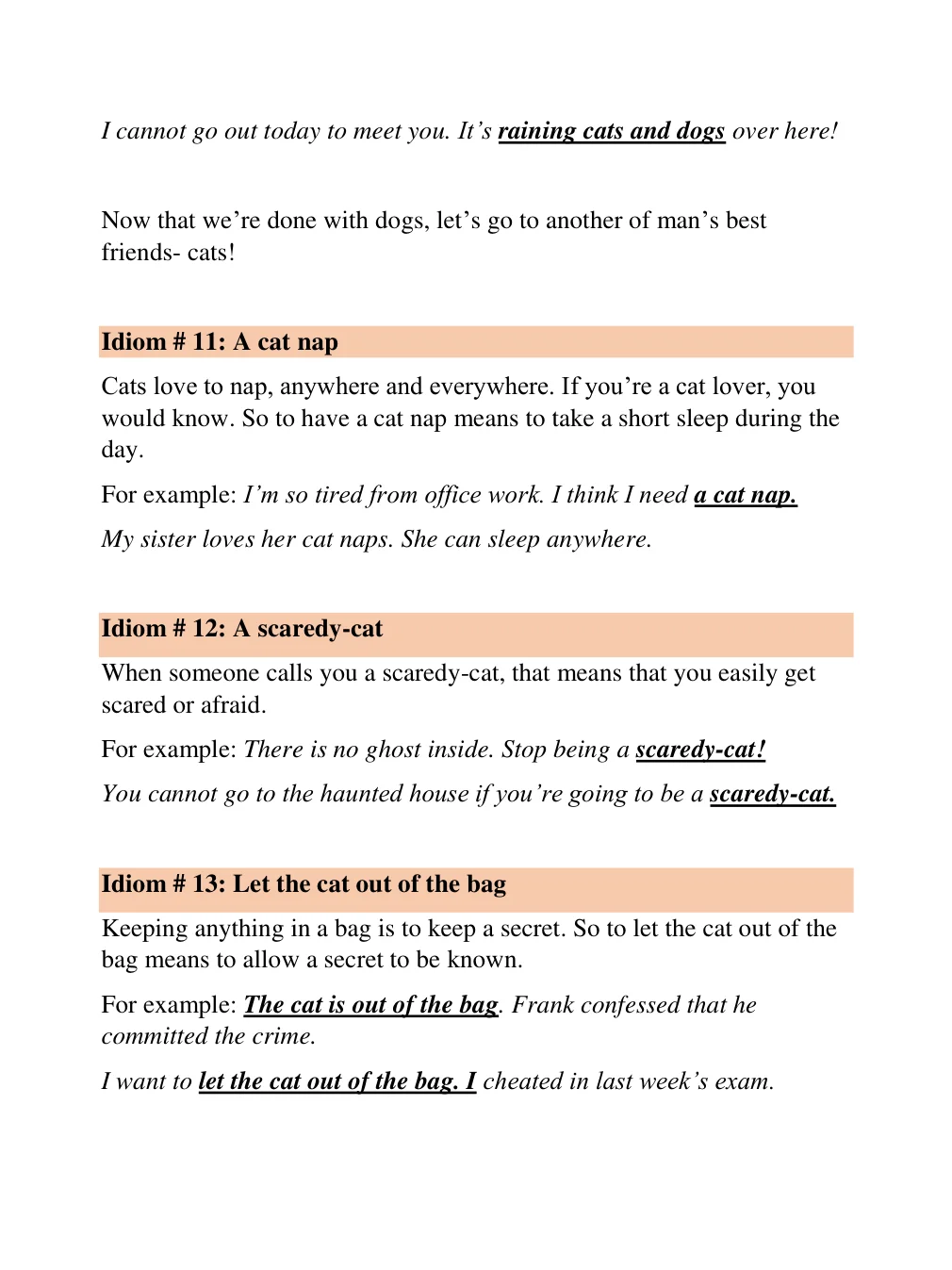 English Idioms Made Easy: Learn Common English Idioms with Examples product image (3)
