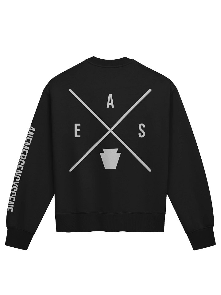 AES X Crewneck product image (2)