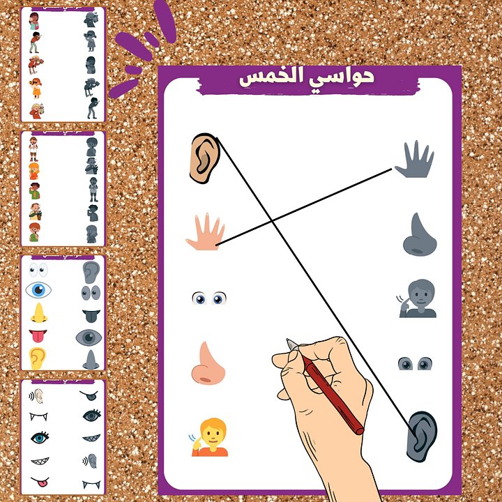 بطاقـــات ملوّنة | ملائمة صور حواسي الخمس للظل المناسب - pdf product image (1)