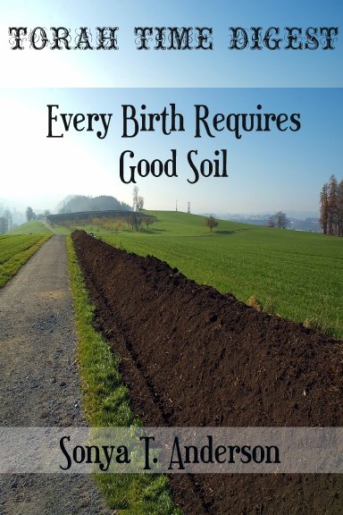 Torah Time Digest: Every Birth Requires Good Soil product image (1)
