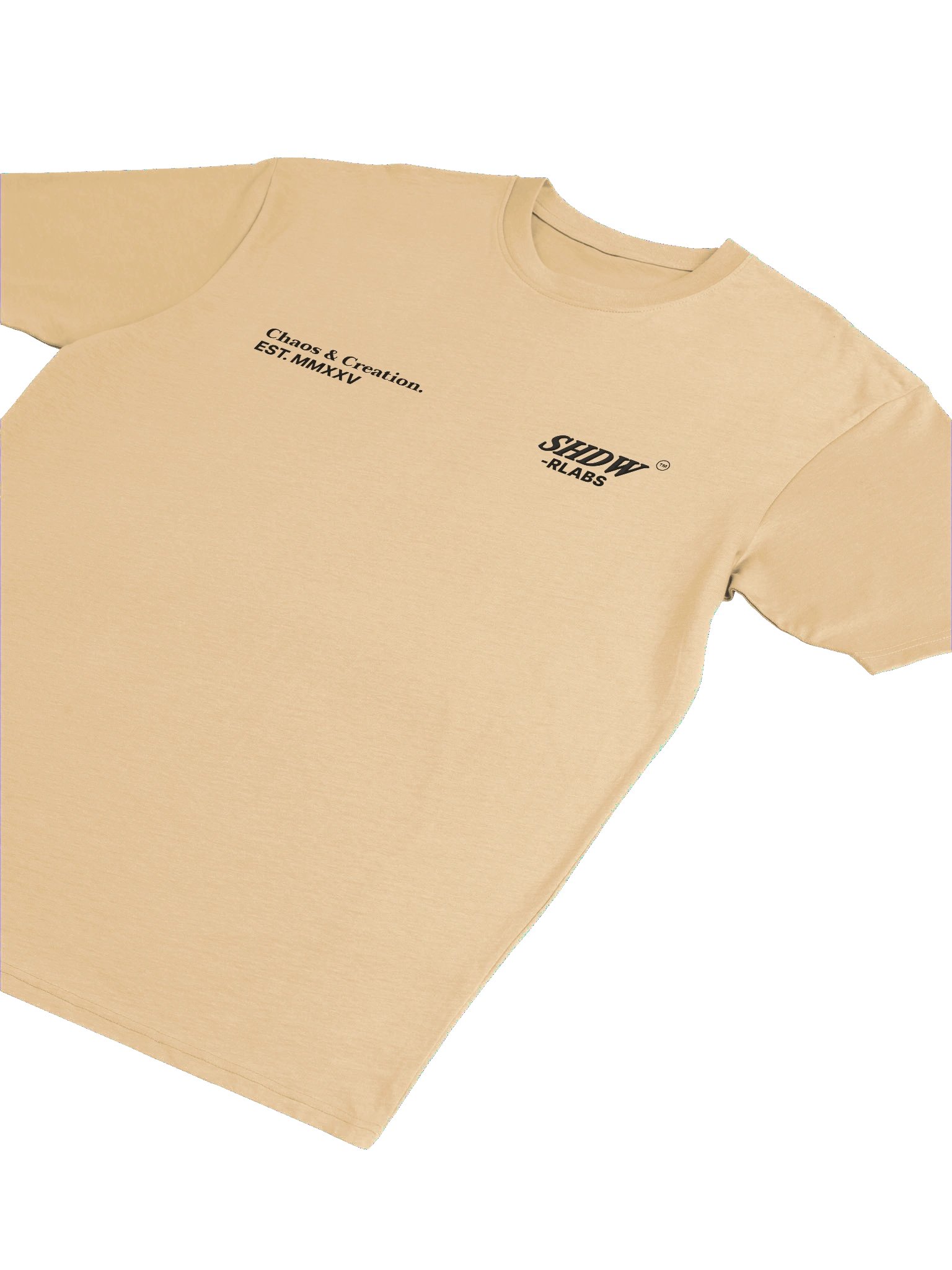 OVERSIZED TEE - SHDW LABS product image (4)