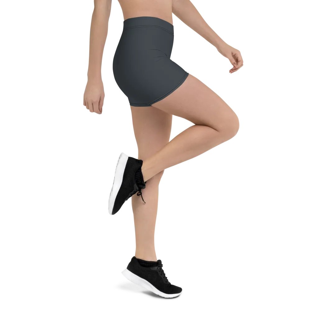 Slate Surf Shorts product image (1)