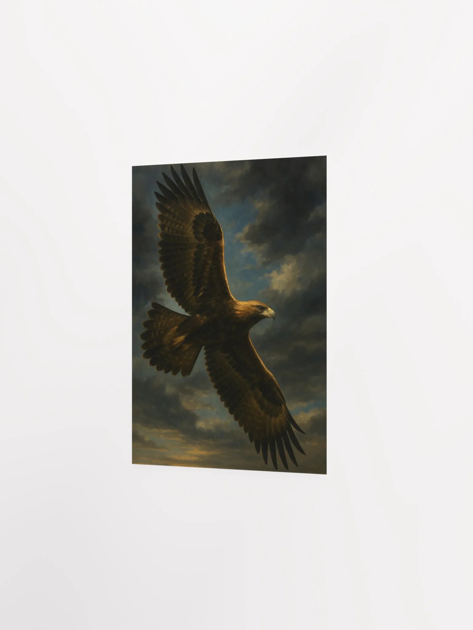 Wedge tailed eagle product image (5)