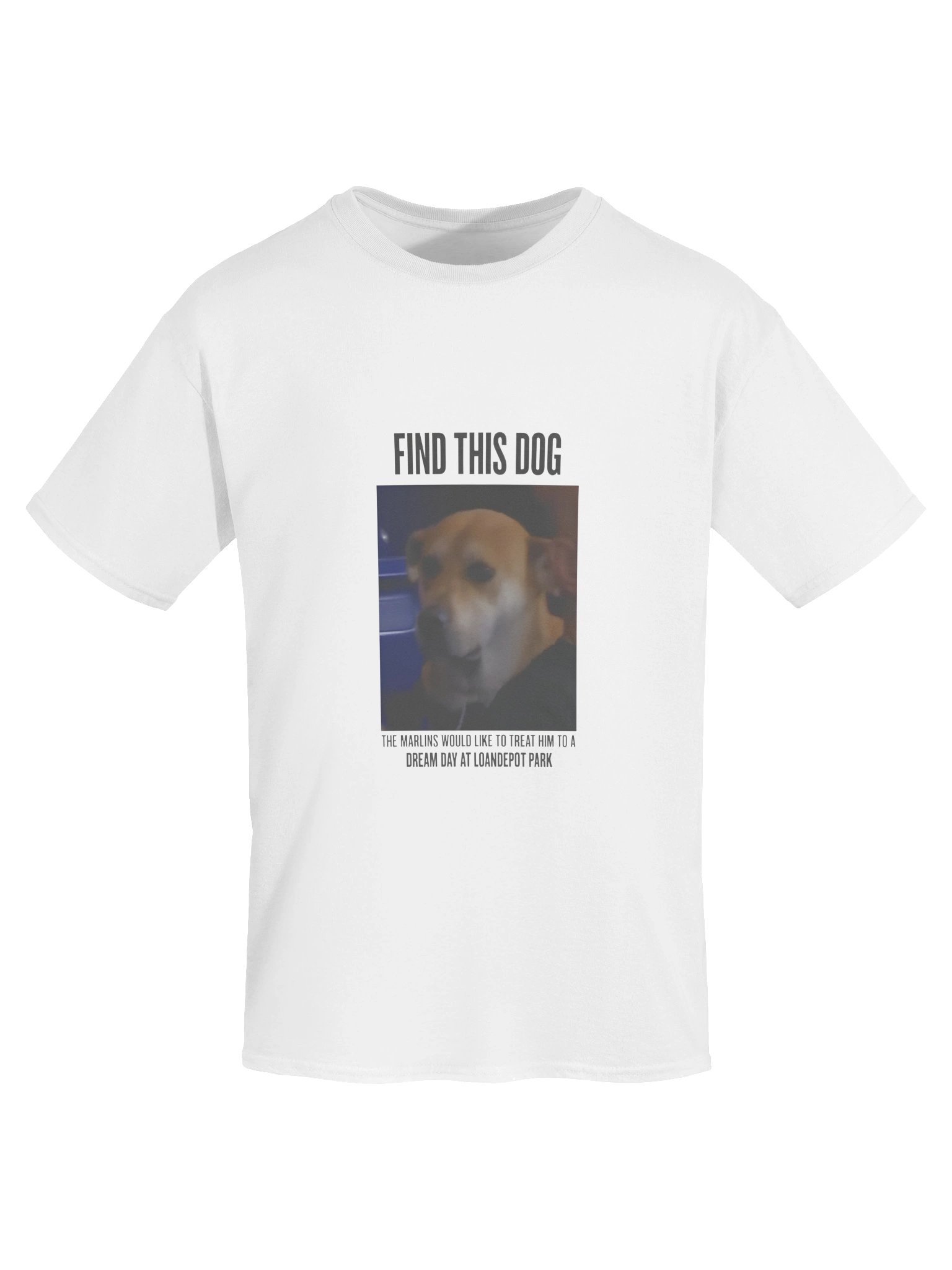 Find This Dog Marlins Dream Day Shirt product image (2)