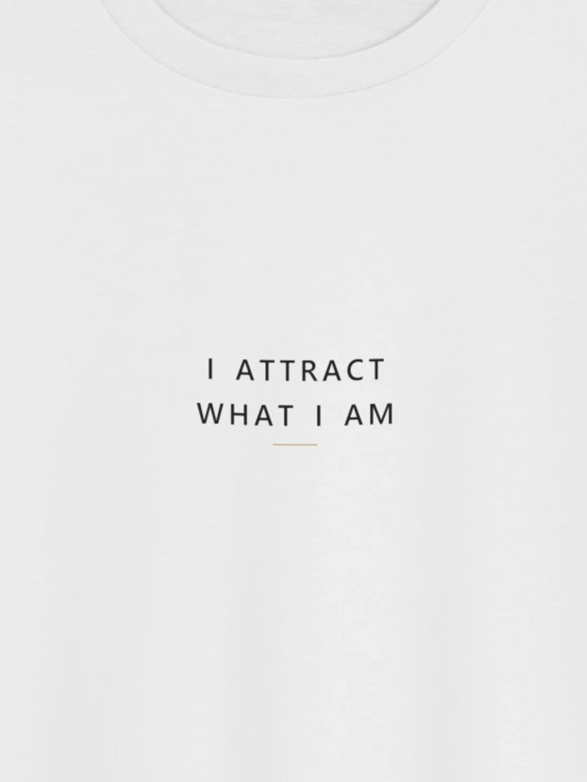 I Attract What I Am product image (2)