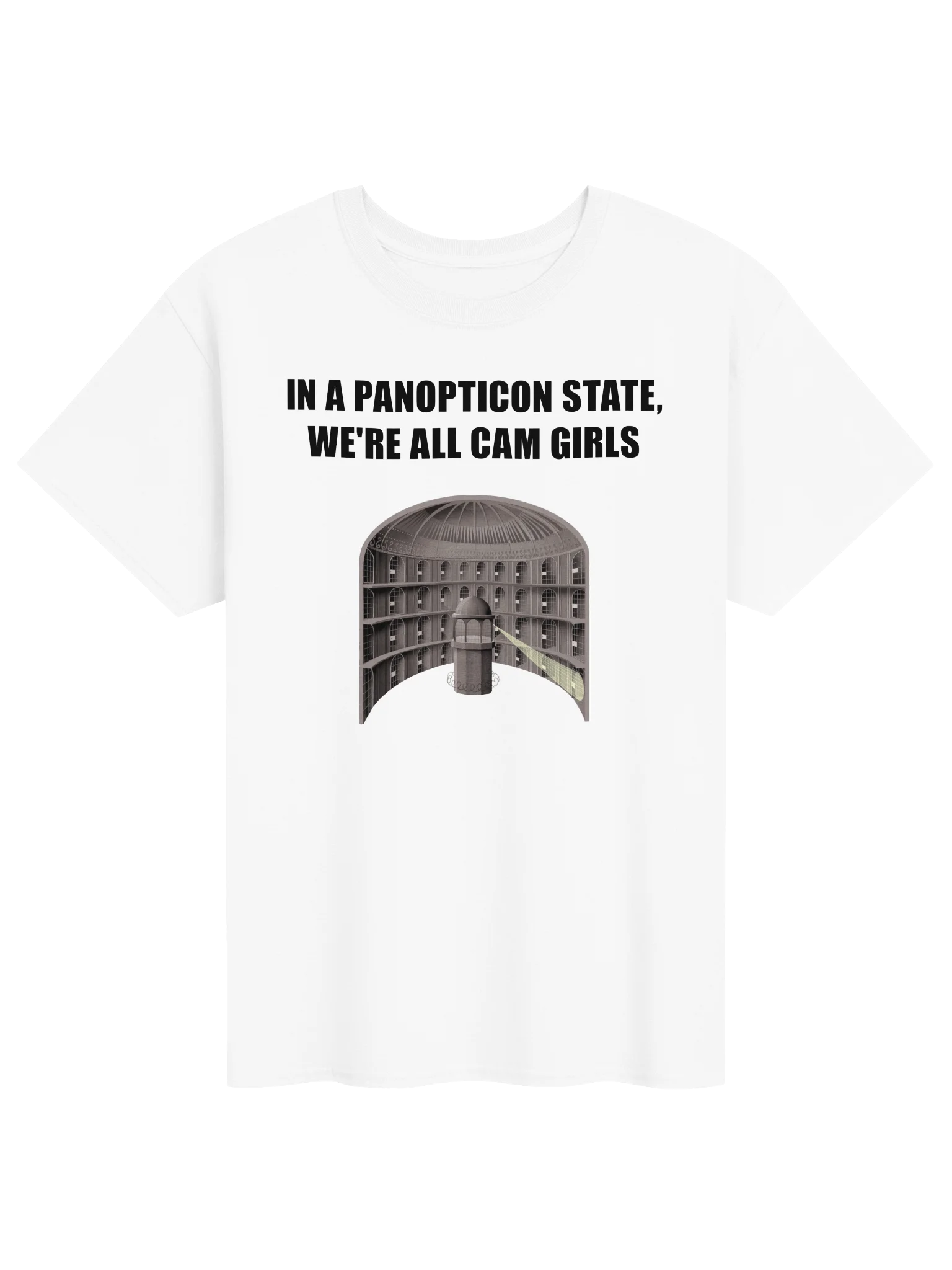IN A PANOPTICON STATE, WE'RE ALL CAM GIRLS product image (111)