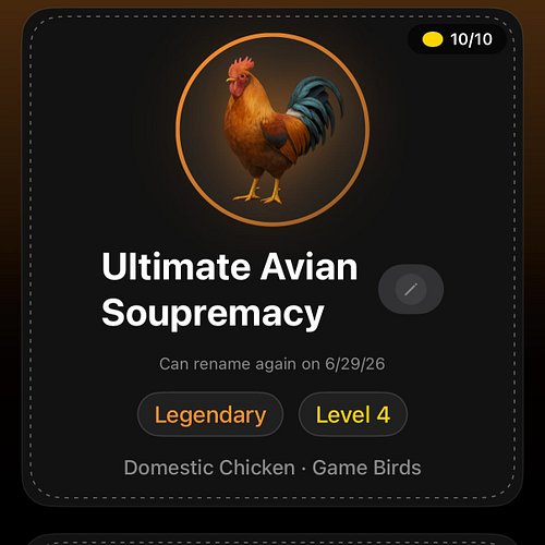 Please PERCEIVE and ADMIRE the completely cool and normal government names of my birds in the Roost social app, thank you