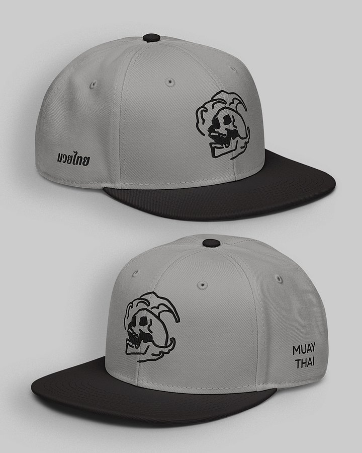 Muay Thai Skull Embroidered Snapback | Grey product image (1)