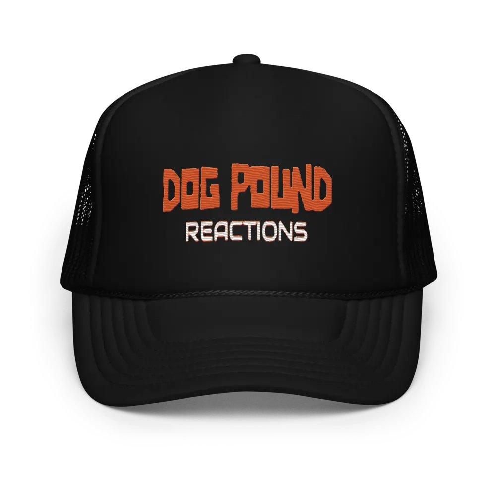 DPR Logo Hat product image (1)