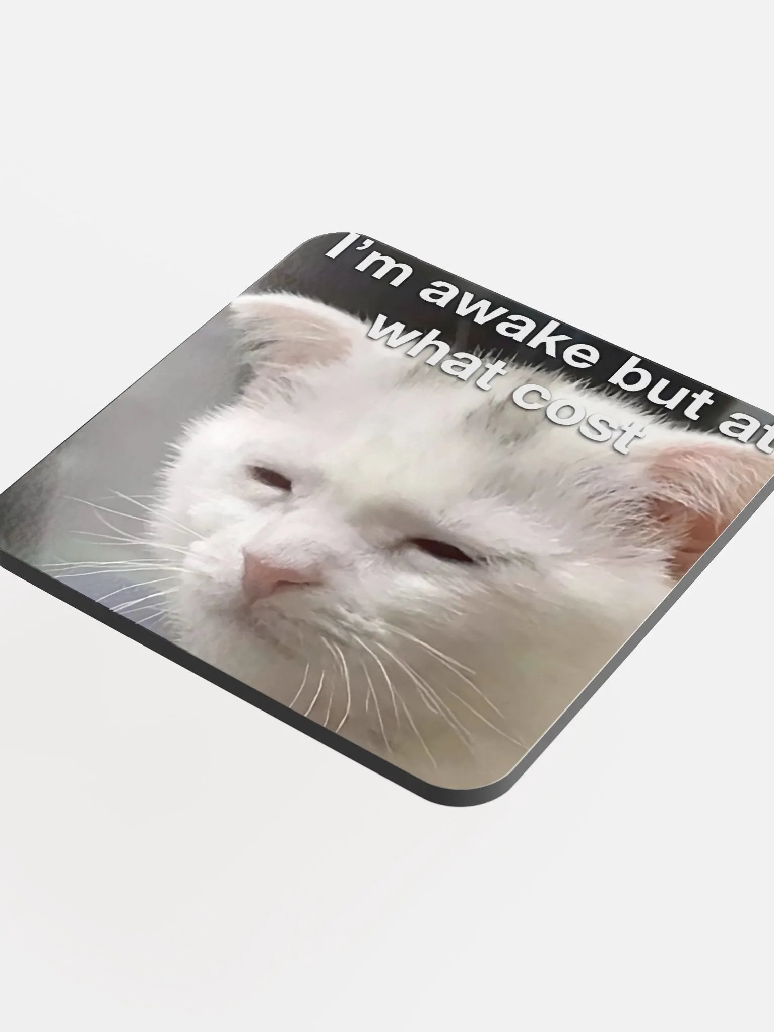 Glossed Cork Coaster: Meme Cats product image (4)