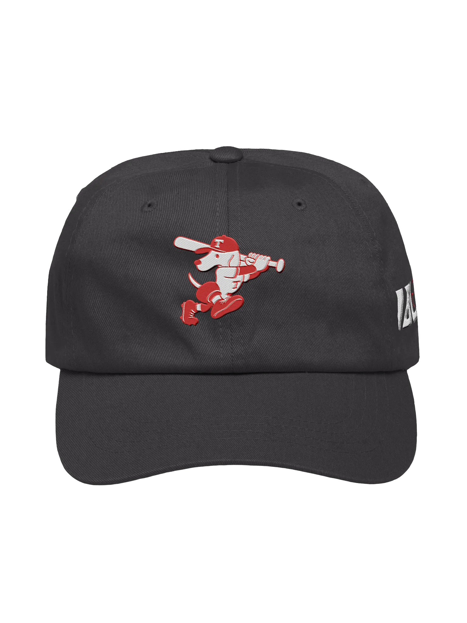 Galt Terriers Dad Hat product image (4)