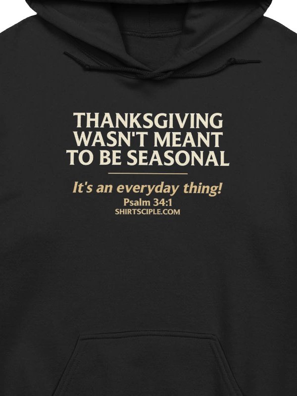 Thanksgiving Wasn't Meant To Be Seasonal Hoodie product image (2)