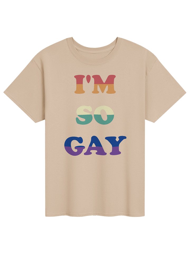 I'm So Gay product image (2)