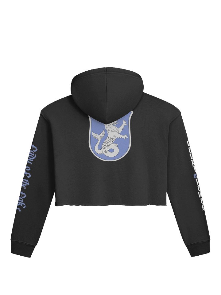 Court of Power Crop Hoodie product image (1)