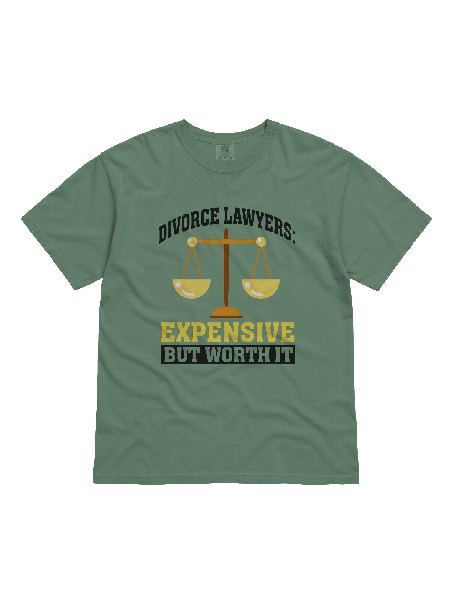 Expensive But Worth It Tee product image (1)