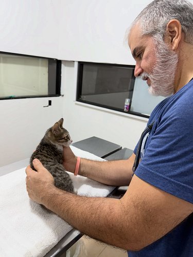 Our latest rescue is pretty healthy, if a bit dehydrated. He’s clear of feline AIDS and leukemia.