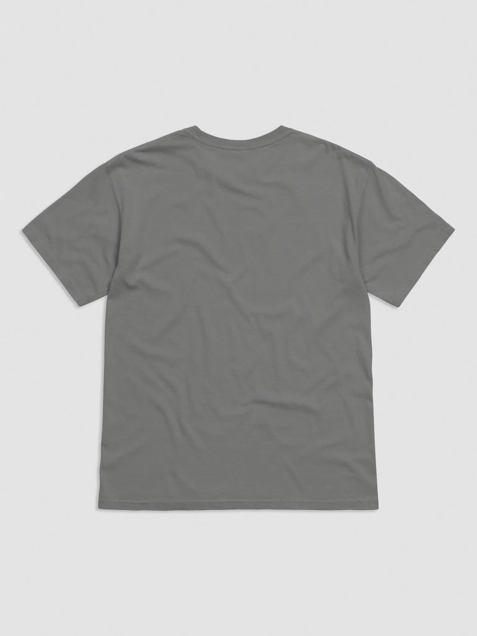 Light Wordmark T-Shirt (Embroidered) product image (113)